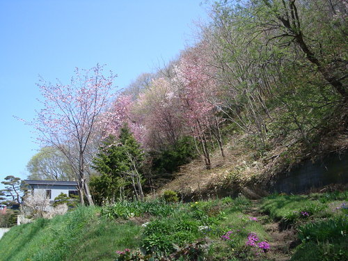DSC03771