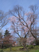 DSC03752