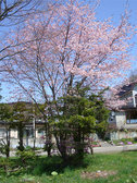 DSC03770