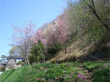 DSC03771
