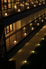 kairo201301-2.jpg