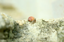 IMG_6439.jpg