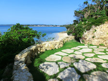 CIMG7927-0.jpg