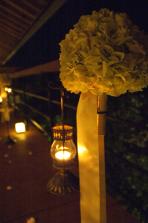 wedding-kairo02.jpg