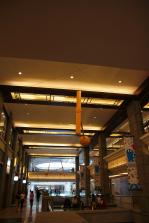 IMG_8290.JPG