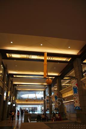 IMG_8290.JPG