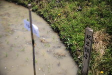 EO0A6468.JPG