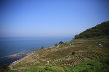EO0A6497.JPG