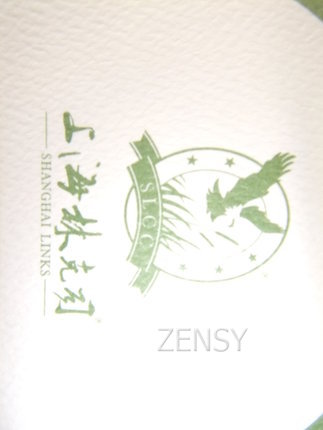 上海林克司高尔夫乡村俱乐部 浦东区凌白路 (4).JPG