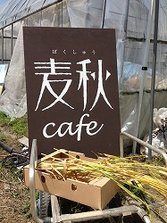 IMG_4531