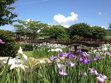 IMG_4657