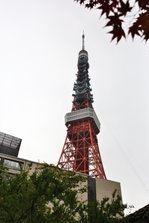EO0A6774.JPG