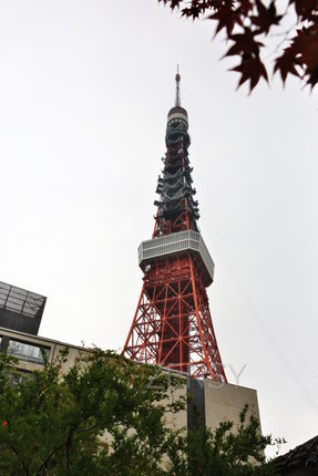 EO0A6774.JPG