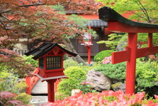 EO0A6830.JPG