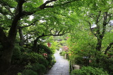 EO0A6833.JPG