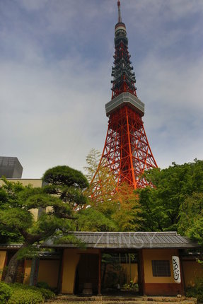 EO0A6837.JPG
