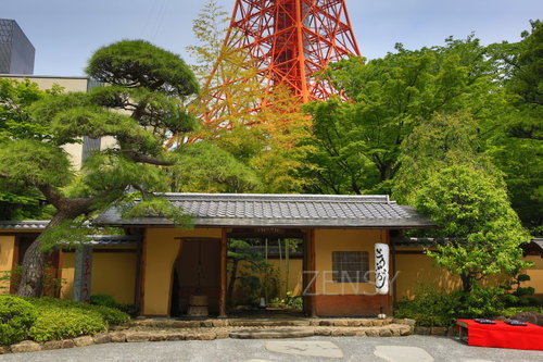 EO0A6838.JPG