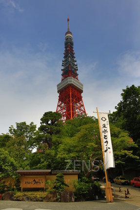 EO0A6841.JPG