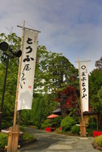 EO0A6843.JPG