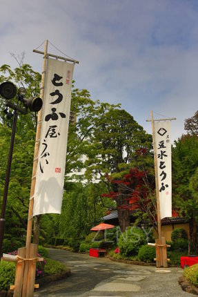EO0A6843.JPG