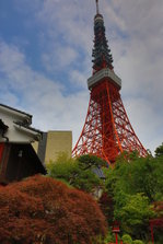 EO0A6849.JPG