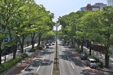 EO0A7326.JPG