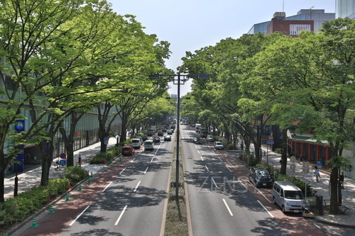 EO0A7326.JPG