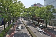 EO0A7330.JPG