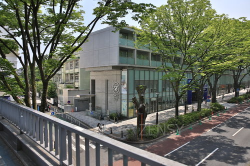 EO0A7334.JPG