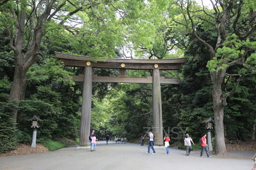EO0A7865.JPG