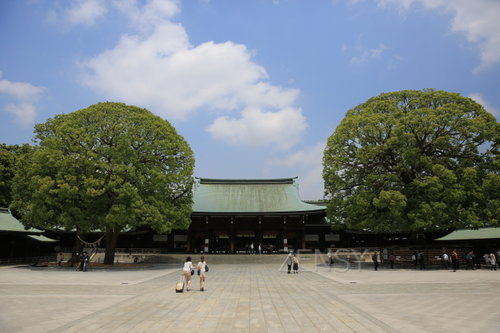 EO0A7894.JPG