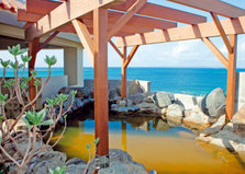 hotspring02.jpg