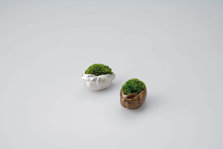 50403-404_Baby Bird-brass.jpg