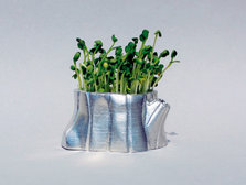 60001_Sprout Planter-Tree Pot+.jpg