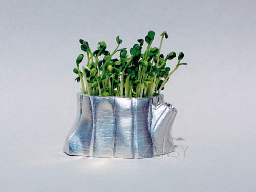 60001_Sprout Planter-Tree Pot+.jpg