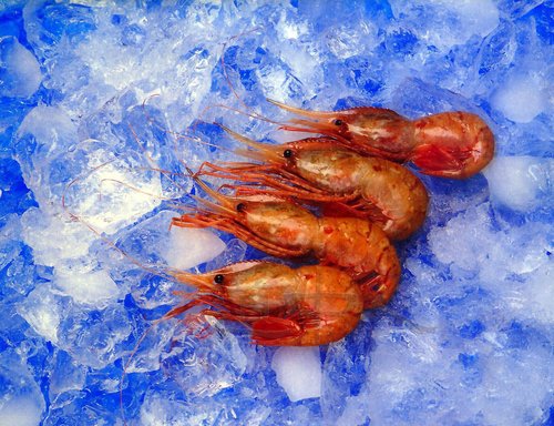 日本长额虾（ボタンエビ）