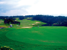golf1.jpg