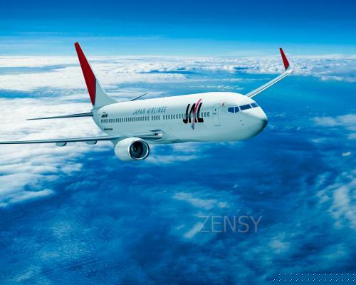 JAL 737-8w_angle-c.jpg