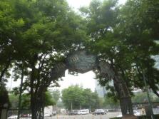 锦都久源外景.jpg