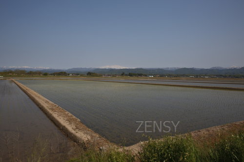 EO0A4445.JPG