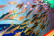 魚群.jpg