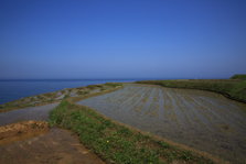 EO0A6396.JPG