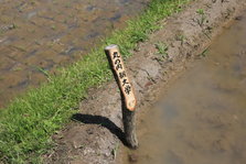 EO0A6399.JPG