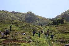 EO0A6402.JPG