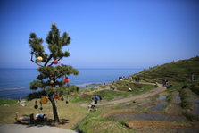 EO0A6436.JPG