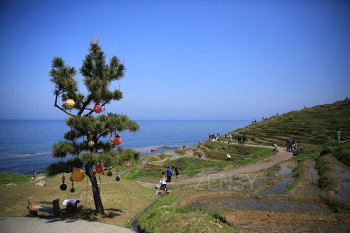 EO0A6436.JPG