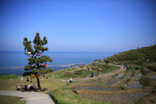 EO0A6437.JPG