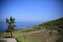 EO0A6439.JPG