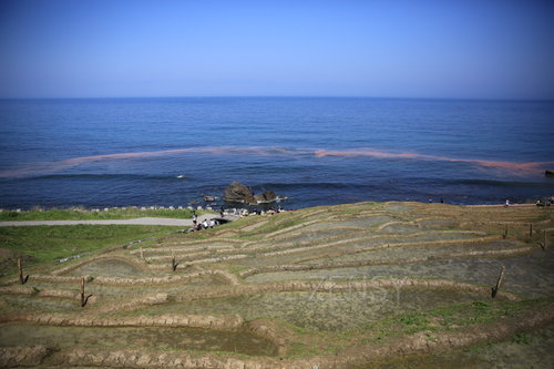 EO0A6456.JPG