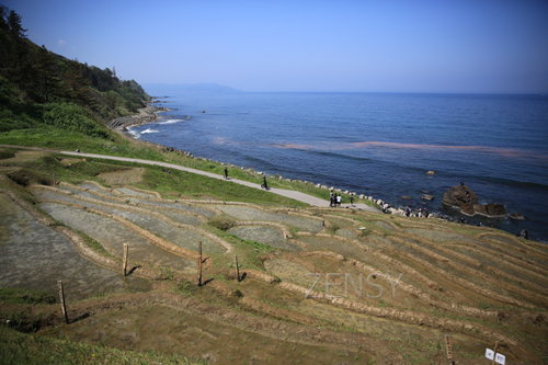 EO0A6458.JPG